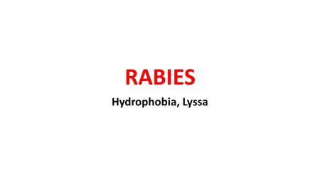 RABIES Hydrophobia, Lyssa.