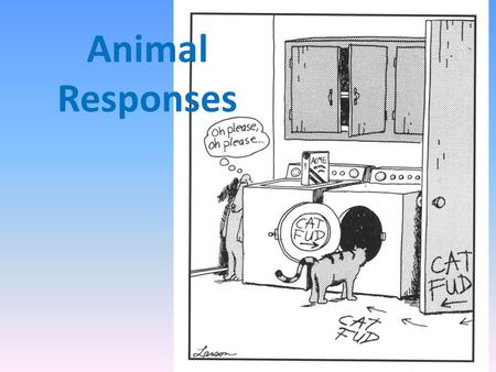 Animal Responses. Introduction Responses in animals are generally more complex than in plants: – there are sensors or detectors – muscles for moving the.