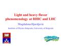 M. Djordjevic 1 Light and heavy flavor phenomenology at RHIC and LHC Magdalena Djordjevic Institute of Physics Belgrade, University of Belgrade.