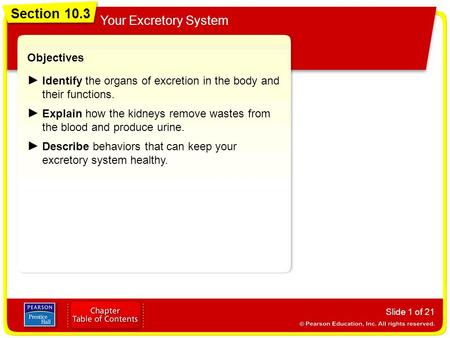 Section 10.3 Your Excretory System Slide 1 of 21 Objectives Identify the organs of excretion in the body and their functions. Explain how the kidneys remove.