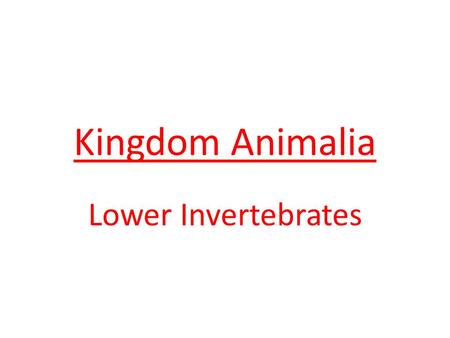 Kingdom Animalia Lower Invertebrates. Characteristics: eukaryotic multicellular heterotrophic consumers no cell walls sexual and asexual reproduction.