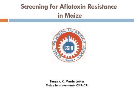 Screening for Aflatoxin Resistance in Maize Tengan, K. Martin Luther Maize Improvement - CSIR-CRI.