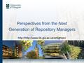 Perspectives from the Next Generation of Repository Managers