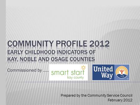 Commissioned by ……. Prepared by the Community Service Council February 2012.