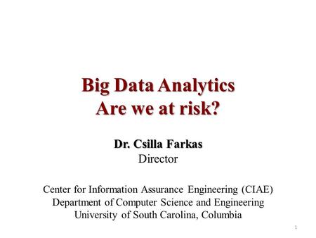 Big Data Analytics Are we at risk? Dr. Csilla Farkas Director Center for Information Assurance Engineering (CIAE) Department of Computer Science and Engineering.