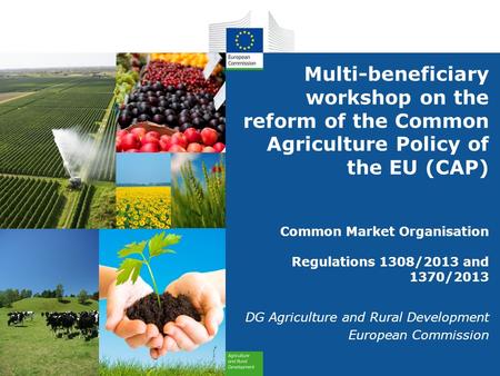 Multi-beneficiary workshop on the reform of the Common Agriculture Policy of the EU (CAP) Common Market Organisation Regulations 1308/2013 and 1370/2013.