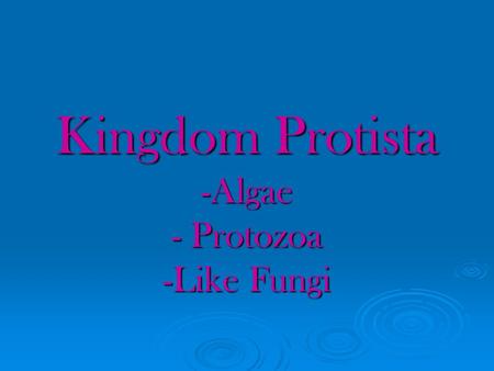 Kingdom Protista -Algae - Protozoa -Like Fungi. Evolution of Protista  Prokaryotes – 3.5 billion years ago  Eukaryotes – 1.5 billion years ago  Protozoan.