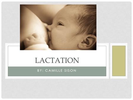 BY: CAMILLE SISON LACTATION. NEWBORNS HAVE 3 DEMANDS.