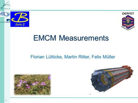 1 EMCM Measurements Florian Lütticke, Martin Ritter, Felix Müller.