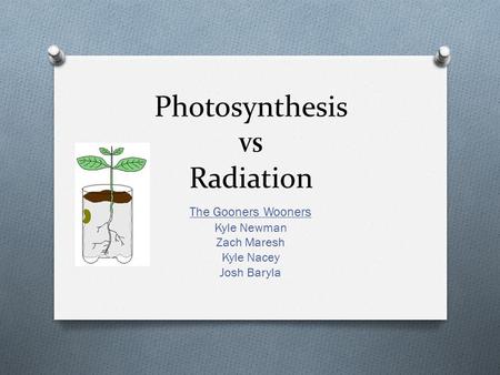 Photosynthesis VS Radiation The Gooners Wooners Kyle Newman Zach Maresh Kyle Nacey Josh Baryla.