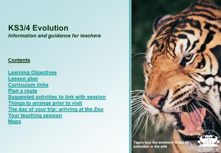 KS3/4 Evolution Information and guidance for teachers Contents Learning Objectives Lesson plan Curriculum links Plan a route Suggested activities to link.