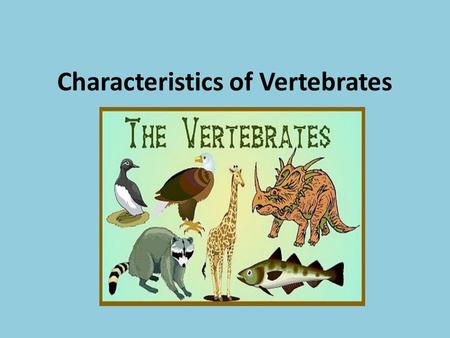 Characteristics of Vertebrates. Group 1: FISH Facts: – Fish are the largest class of vertebrates – There are three classes of fish: Jawless- boneless.