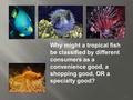 1 Why might a tropical fish be classified by different consumers as a convenience good, a shopping good, OR a specialty good?