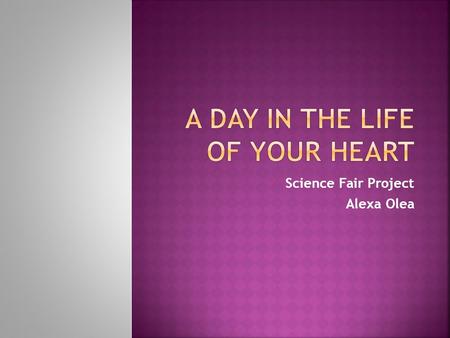 A Day in the Life of Your Heart