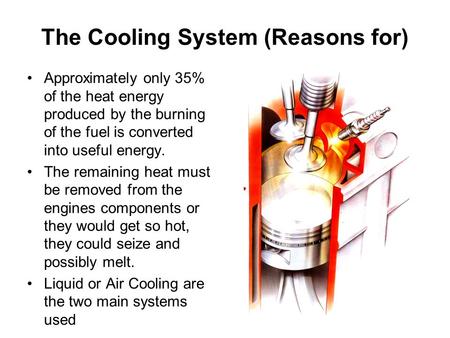 The Cooling System (Reasons for)