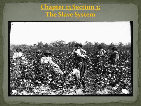 Chapter 13 Section 3: The Slave System. Slaves and Work Enslaved African Americans lived and worked on rural farms and plantations, and did a variety.