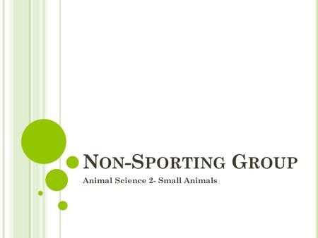 N ON -S PORTING G ROUP Animal Science 2- Small Animals.