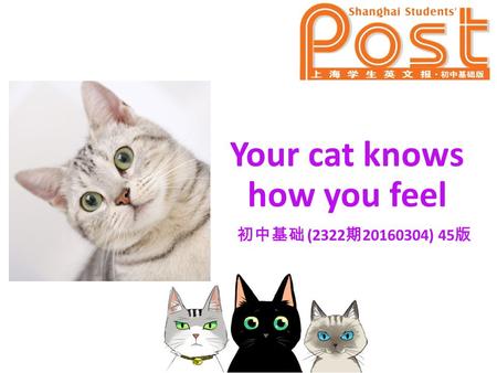 Your cat knows how you feel 初中基础 (2322 期 20160304) 45 版.