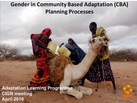 Gender in Community Based Adaptation (CBA) Planning Processes Adaptation Learning Programme CIGN meeting April 2016.