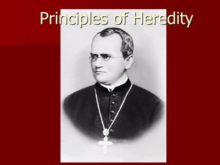 Principles of Heredity. Genetics – study of heredity => transmission of traits (genes) from one generation to another parent => offspring.