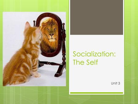 Socialization: The Self Unit 3. The Big Q : How does society shape who we become? In Your Notebooks: How are we shaped by society? Who do we base our.