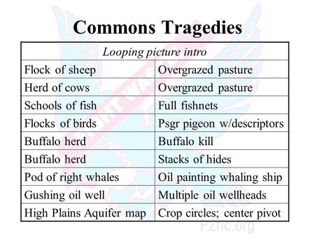 Commons Tragedies Looping picture intro Flock of sheepOvergrazed pasture Herd of cowsOvergrazed pasture Schools of fishFull fishnets Flocks of birdsPsgr.