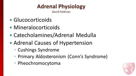 Adrenal Physiology David Feldman Glucocorticoids Mineralocorticoids Catecholamines/Adrenal Medulla Adrenal Causes of Hypertension ◦ Cushings Syndrome ◦