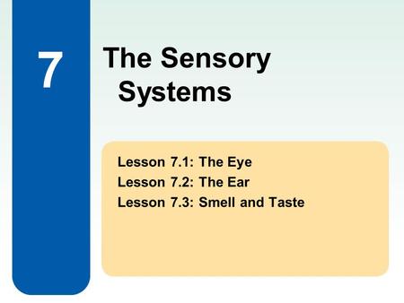 7 Lesson 7.1: The Eye Lesson 7.2: The Ear Lesson 7.3: Smell and Taste The Sensory Systems.