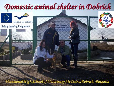 Domestic animal shelter in Dobrich Vocational High School of Veterinary Medicine,Dobrich, Bulgaria.