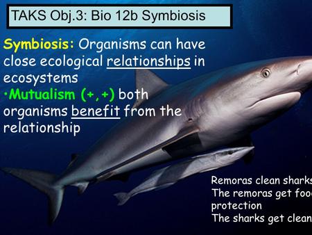 Symbiosis: Organisms can have close ecological relationships in ecosystems Mutualism (+,+) both organisms benefit from the relationship Remoras clean sharks.