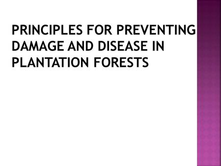 PRINCIPLES FOR PREVENTING DAMAGE AND DISEASE IN PLANTATION FORESTS.