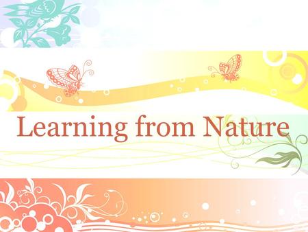 Learning from Nature. Father spent time in nature from early morning to late in the evening. He diligently observed and studied nature. His passion to.