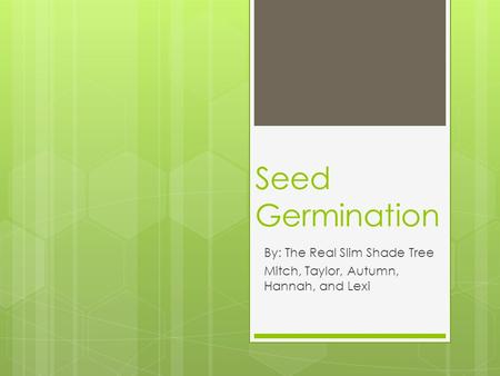 Seed Germination By: The Real Slim Shade Tree Mitch, Taylor, Autumn, Hannah, and Lexi.