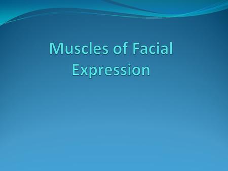 Muscles of Facial Expression