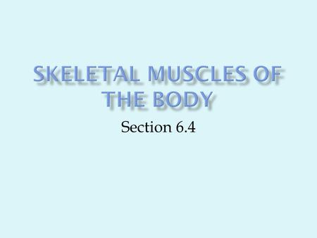 Section 6.4. 1. Movement is attained due to a muscle moving an attached bone 2. Muscles are attached to least two points: an origin and an insertion.