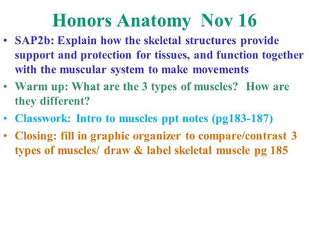 Honors Anatomy Nov 16 SAP2b: Explain how the skeletal structures provide support and protection for tissues, and function together with the muscular system.