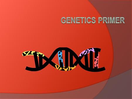 Who is Gregor Mendel?  The father of “modern genetics”  First studied inheritance patterns using garden pea plants  He observed that traits were inherited.