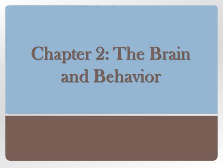 Chapter 2: The Brain and Behavior