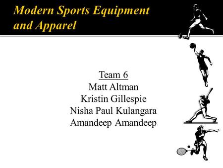 Team 6 Matt Altman Kristin Gillespie Nisha Paul Kulangara Amandeep.