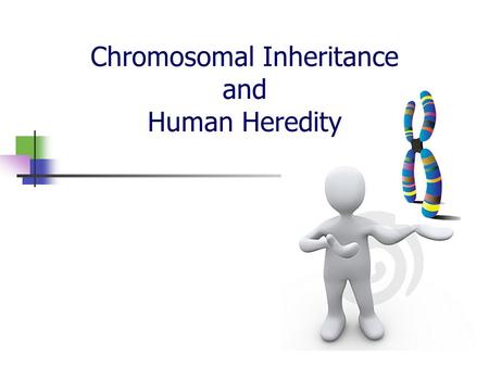 Chromosomal Inheritance and Human Heredity. Human Chromosomes Karyotype – a picture of an organism’s chromosomes We take pictures during mitosis when.