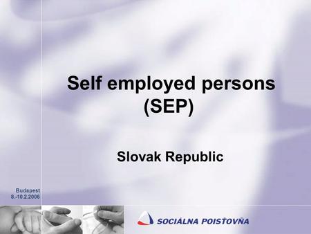 Self employed persons (SEP) Slovak Republic Budapest 8.-10.2.2006.