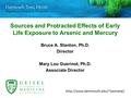 Sources and Protracted Effects of Early Life Exposure to Arsenic and Mercury Bruce A. Stanton, Ph.D. Director Mary Lou Guerinot, Ph.D. Associate Director.