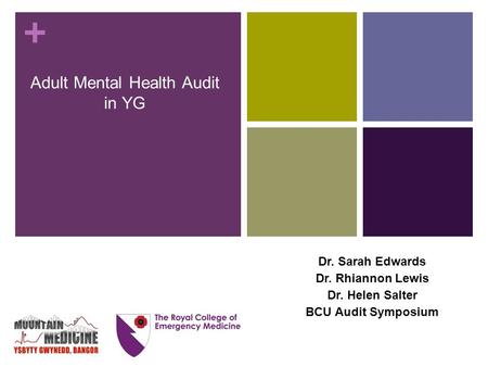 + Adult Mental Health Audit in YG Dr. Sarah Edwards Dr. Rhiannon Lewis Dr. Helen Salter BCU Audit Symposium.