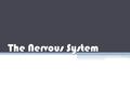 The Nervous System I. Function: A. Communication throughout the body. B. Coordinates functions. C. Responds to internal and external stimuli 1. Stimuli.