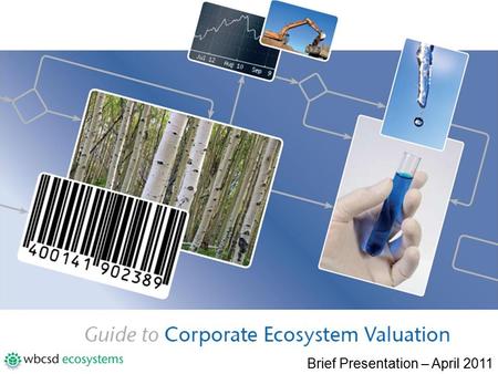 Brief Presentation – April 2011.  Definitions: ecosystem services & biodiversity  Value of ecosystems  Ecosystem drivers & business context  Business.