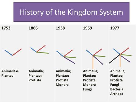 History of the Kingdom System