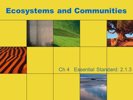 Ecosystems and Communities Ch 4 Essential Standard: 2.1.3.