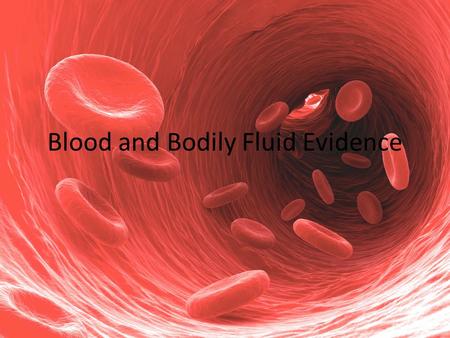 Blood and Bodily Fluid Evidence. Components of Blood Blood is one of the most common and obvious types of evidence left at a violent crime scene. An average.