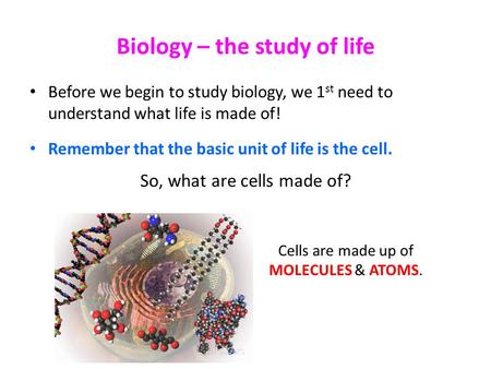 Biology – the study of life Before we begin to study biology, we 1 st need to understand what life is made of! Remember that the basic unit of life is.