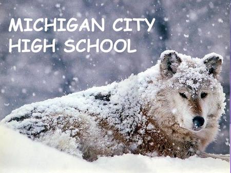 MICHIGAN CITY HIGH SCHOOL. Michigan City High School - VISION Excellence for Everyone.